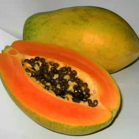 Soopaya Papaya -Non GMO