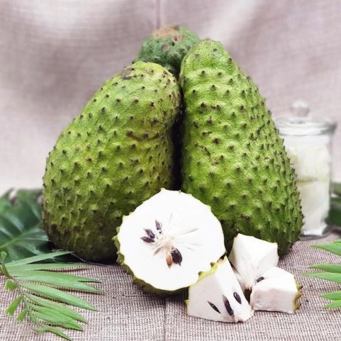 Soursop