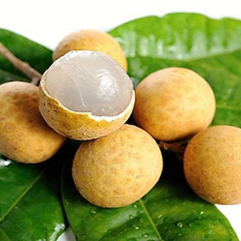 Vietnam Longan