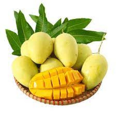 Mango Hòa Lộc